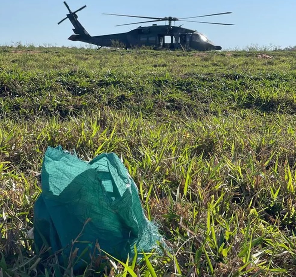 Fardos de cocaína que foram arremessados de avião incendiado em Mirante do Paranapanema - Foto: Polícia Federal/Divulgação 