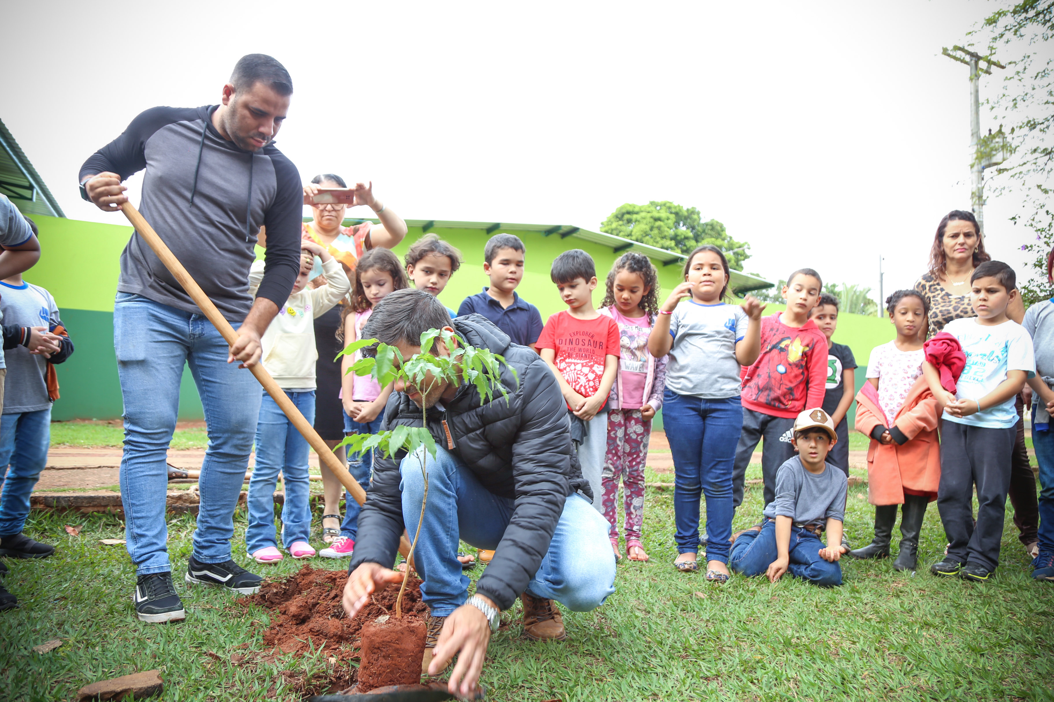 Muda de ipê será acompanhada pela comunidade escolar e Secretaria de Obras - Foto: Prefeitura de Batayporã